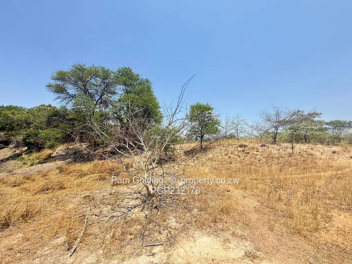 3700ha Farm For Sale – Nyamandlovu