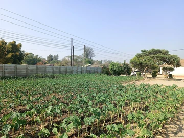 Stands & Residential Land