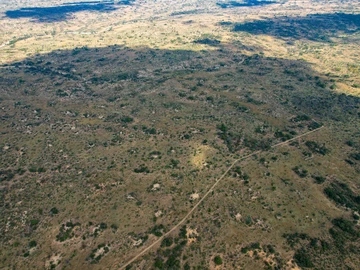 Farm & Agricultural Land