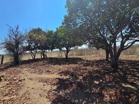 Farm & Agricultural Land