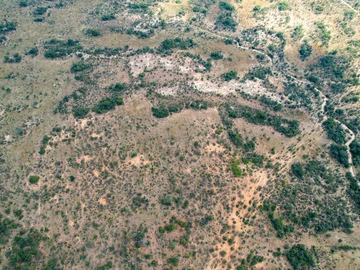 Farm & Agricultural Land