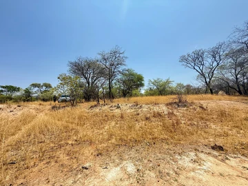 Farm & Agricultural Land