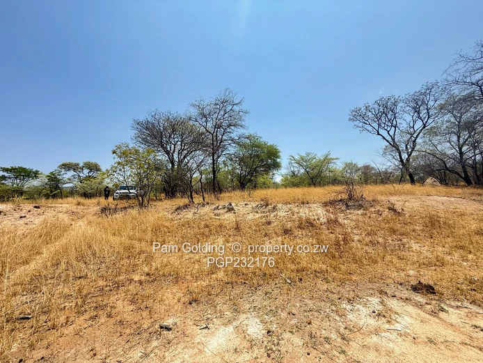 3700ha Farm For Sale – Nyamandlovu
