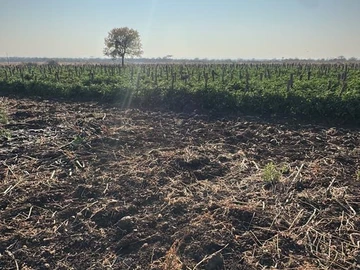 Farm & Agricultural Land