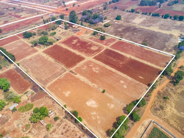 Farm & Agricultural Land