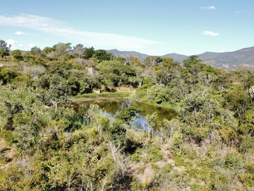 Commercial & Industrial Land