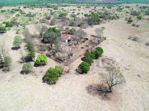 Farm & Agricultural Land