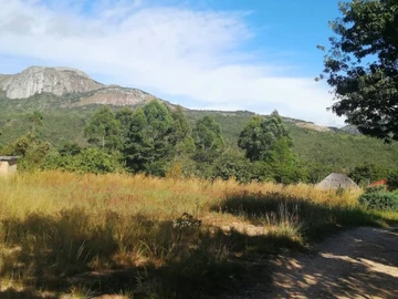 7.8Ha of Untouched Beauty, Nyamazi Greens, Nyanga
