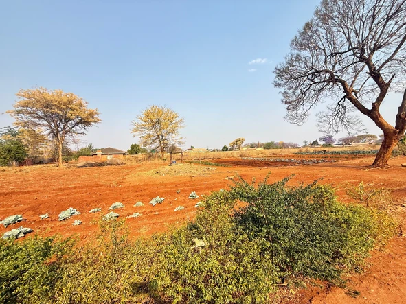 Farm & Agricultural Land