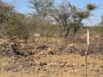 Farm & Agricultural Land