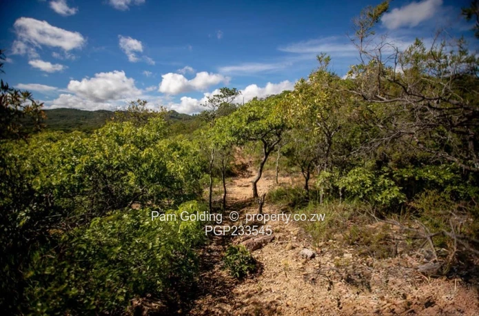 2.1 Ha Vacant Land John Galt Village Nyanga (Sole Mandate)