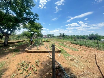 Farm & Agricultural Land