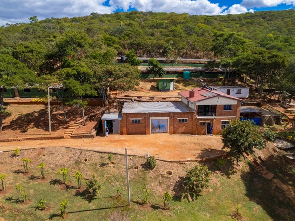 Farm & Agricultural Land