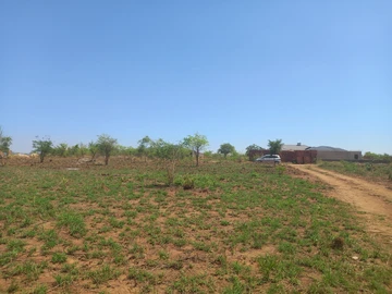 Stands & Residential Land