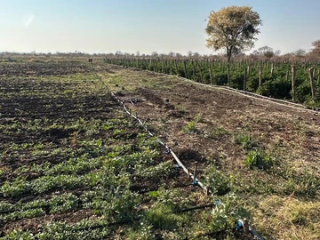 Farm & Agricultural Land