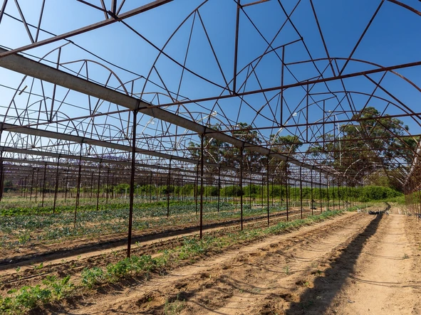 Stands & Residential Land