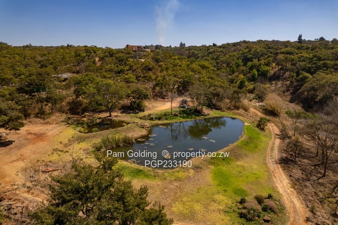 Masterpiece In Umwinsidale On 14 Acres